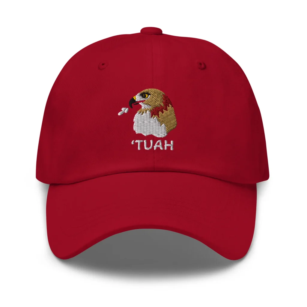 Hawk Tuah Hat